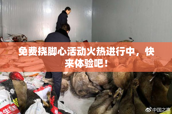免费挠脚心活动火热进行中，快来体验吧！