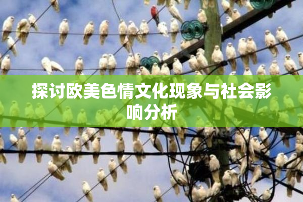 探讨欧美色情文化现象与社会影响分析