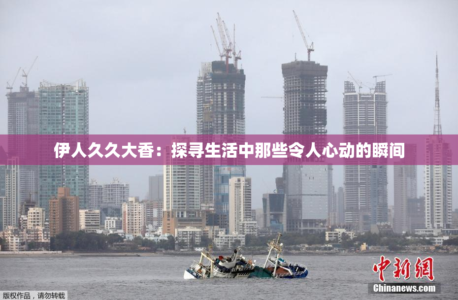 伊人久久大香：探寻生活中那些令人心动的瞬间