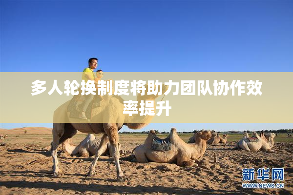 多人轮换制度将助力团队协作效率提升