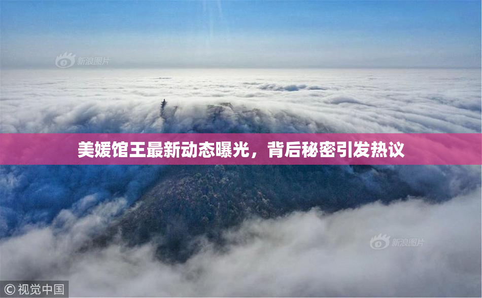 美媛馆王最新动态曝光，背后秘密引发热议