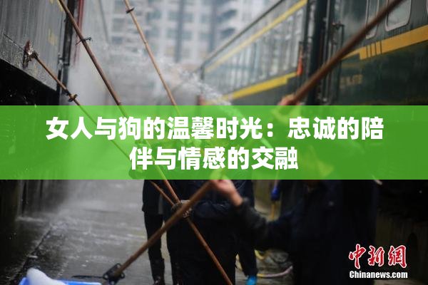 女人与狗的温馨时光：忠诚的陪伴与情感的交融