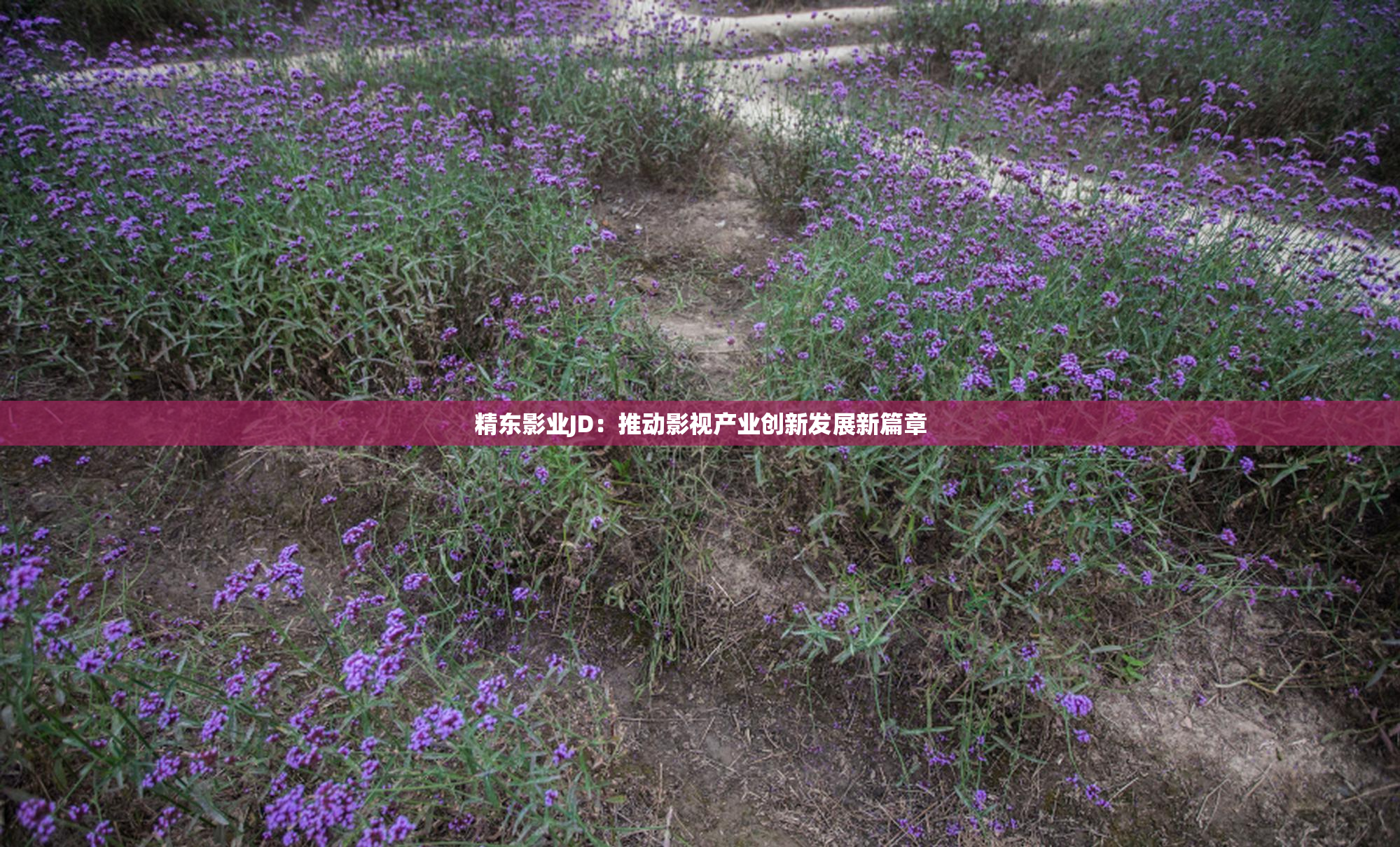 精东影业JD：推动影视产业创新发展新篇章