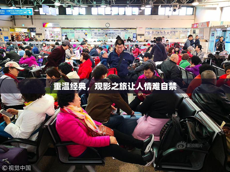 重温经典，观影之旅让人情难自禁