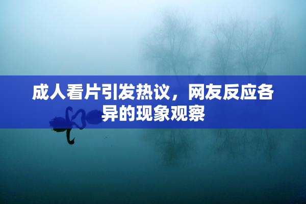 成人看片引发热议，网友反应各异的现象观察