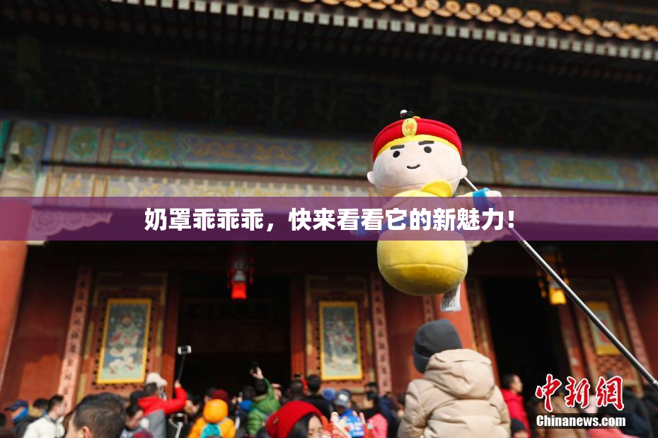 奶罩乖乖乖，快来看看它的新魅力！
