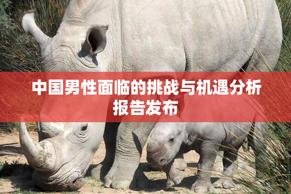 中国男性面临的挑战与机遇分析报告发布