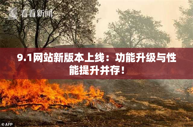 9.1网站新版本上线：功能升级与性能提升并存！