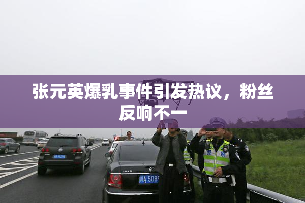张元英爆乳事件引发热议，粉丝反响不一