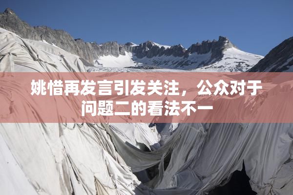 姚惜再发言引发关注，公众对于问题二的看法不一