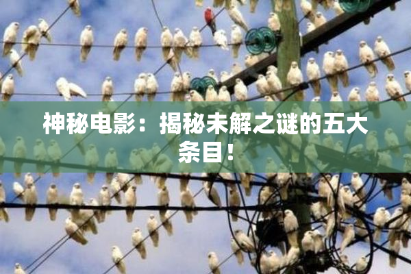 神秘电影：揭秘未解之谜的五大条目！