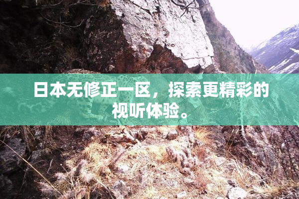 日本无修正一区，探索更精彩的视听体验。