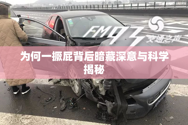 为何一撅屁背后暗藏深意与科学揭秘