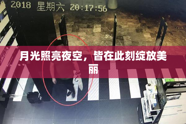 月光照亮夜空，皆在此刻绽放美丽