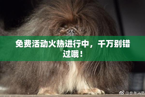 免费活动火热进行中，千万别错过哦！