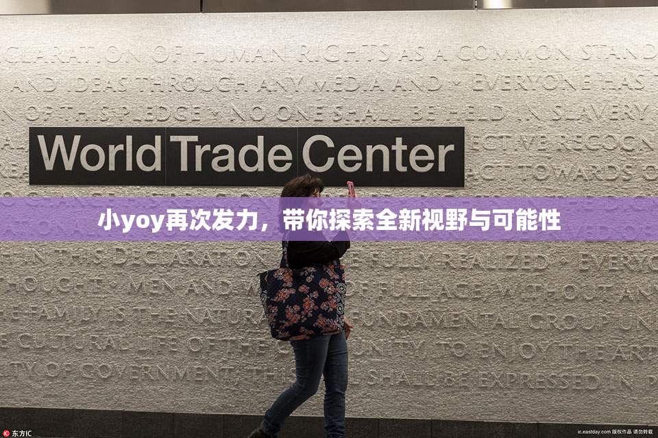 小yoy再次发力，带你探索全新视野与可能性