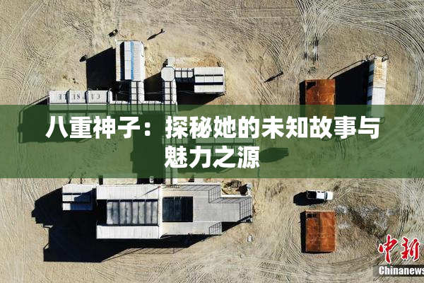 八重神子：探秘她的未知故事与魅力之源
