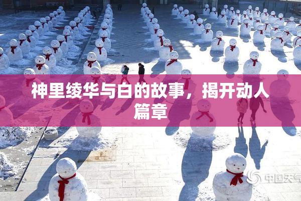 神里绫华与白的故事，揭开动人篇章