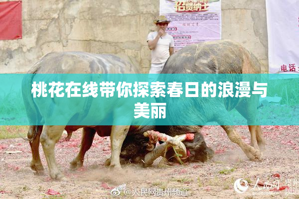 桃花在线带你探索春日的浪漫与美丽