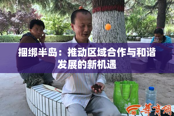 捆绑半岛：推动区域合作与和谐发展的新机遇