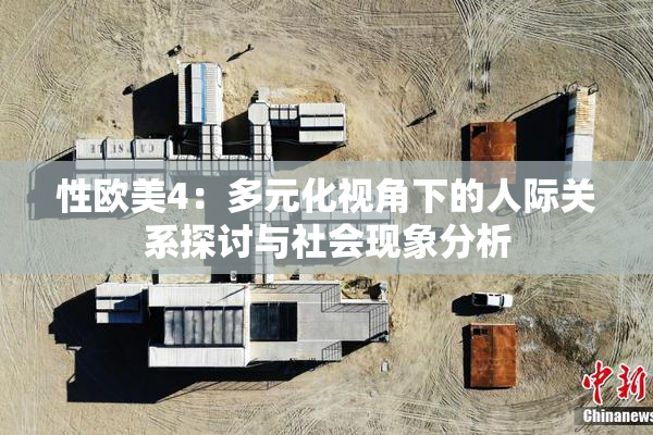 性欧美4：多元化视角下的人际关系探讨与社会现象分析