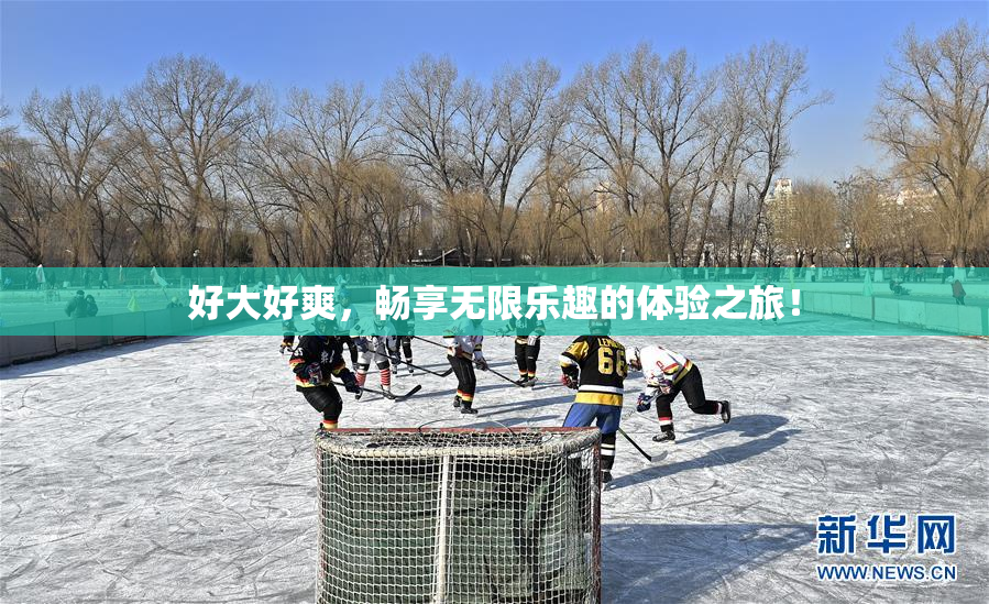 好大好爽，畅享无限乐趣的体验之旅！