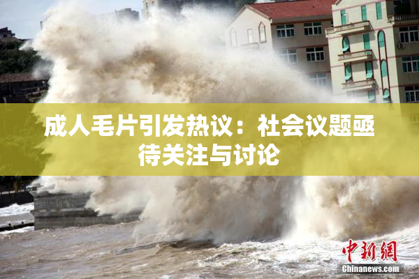 成人毛片引发热议：社会议题亟待关注与讨论