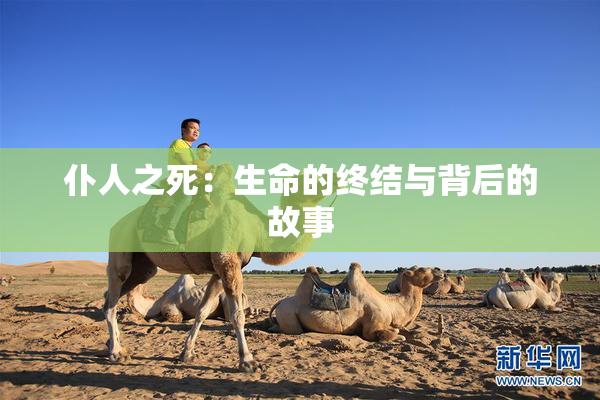 仆人之死：生命的终结与背后的故事