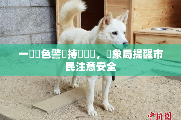 一級黃色警報持續發佈，氣象局提醒市民注意安全