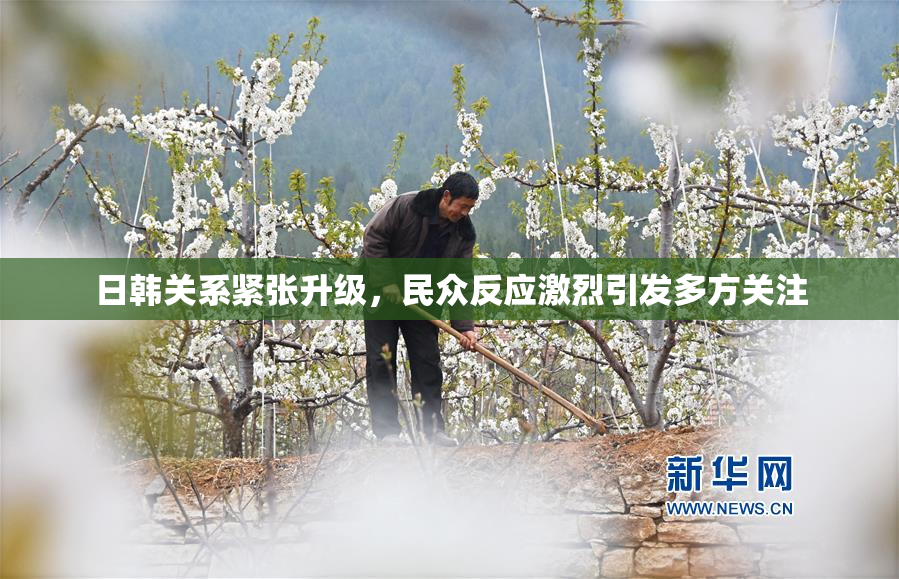 日韩关系紧张升级，民众反应激烈引发多方关注