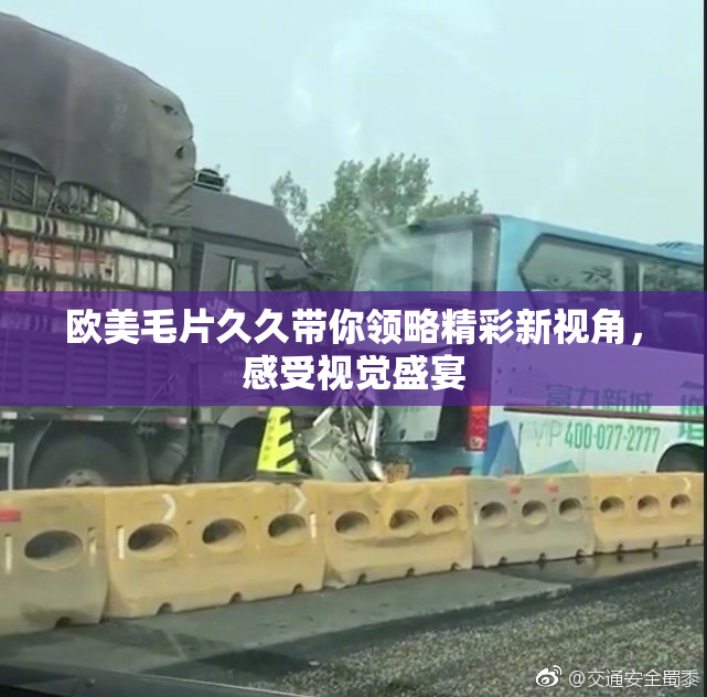 欧美毛片久久带你领略精彩新视角，感受视觉盛宴