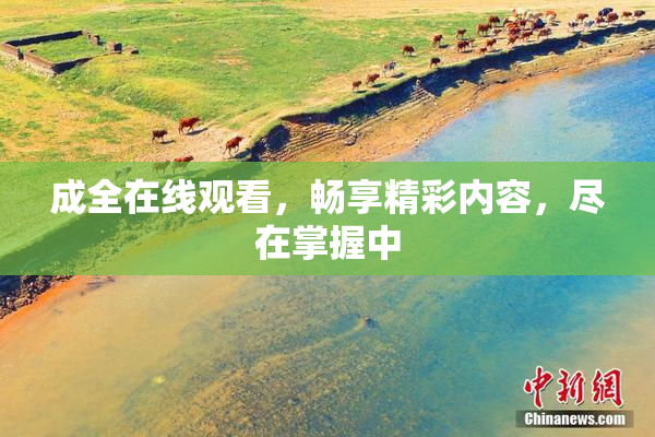 成全在线观看，畅享精彩内容，尽在掌握中