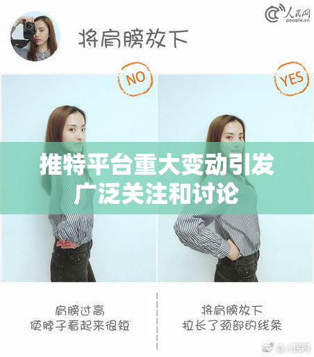 推特平台重大变动引发广泛关注和讨论