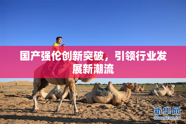 国产强伦创新突破，引领行业发展新潮流