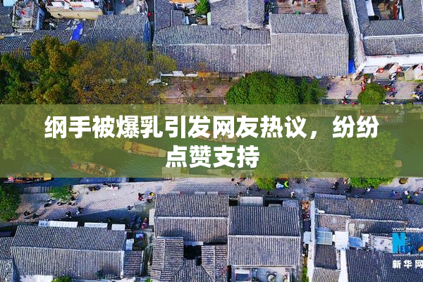 纲手被爆乳引发网友热议，纷纷点赞支持
