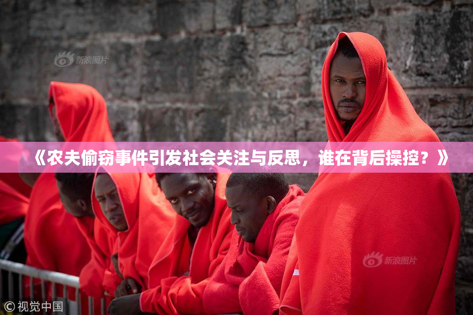《农夫偷窃事件引发社会关注与反思，谁在背后操控？》