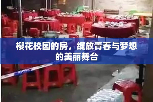 樱花校园的房，绽放青春与梦想的美丽舞台