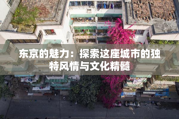 东京的魅力：探索这座城市的独特风情与文化精髓