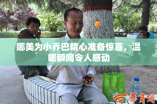 娜美为小乔巴精心准备惊喜，温暖瞬间令人感动