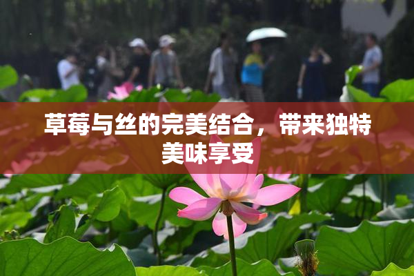 草莓与丝的完美结合，带来独特美味享受
