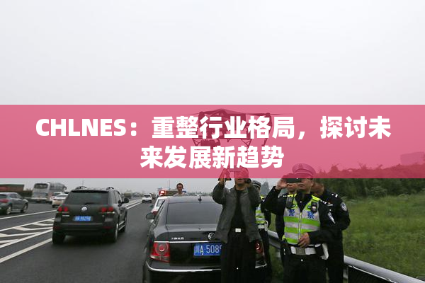 CHLNES：重整行业格局，探讨未来发展新趋势