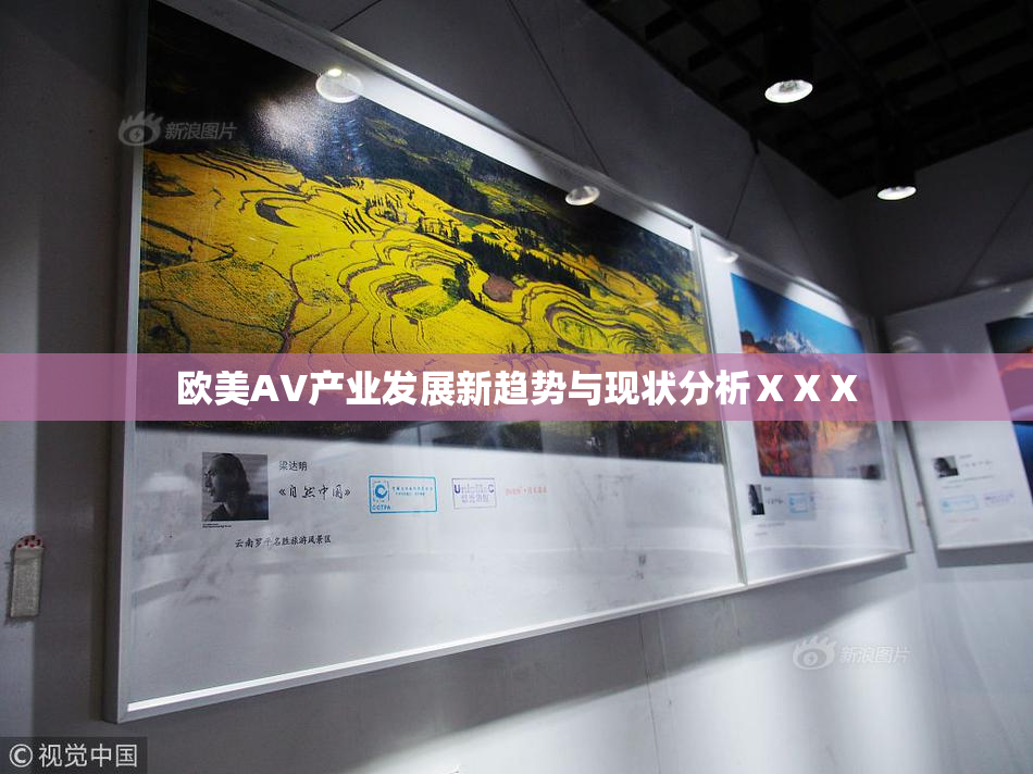 欧美AV产业发展新趋势与现状分析ⅩⅩⅩ