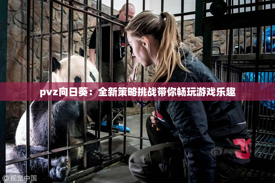 pvz向日葵：全新策略挑战带你畅玩游戏乐趣