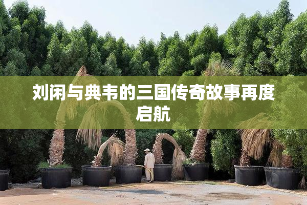 刘闲与典韦的三国传奇故事再度启航