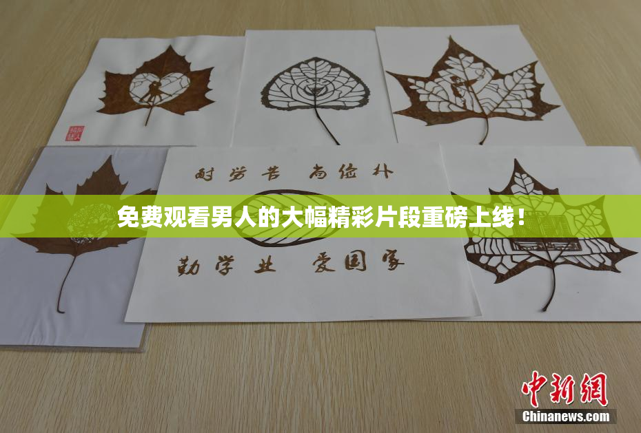 免费观看男人的大幅精彩片段重磅上线！