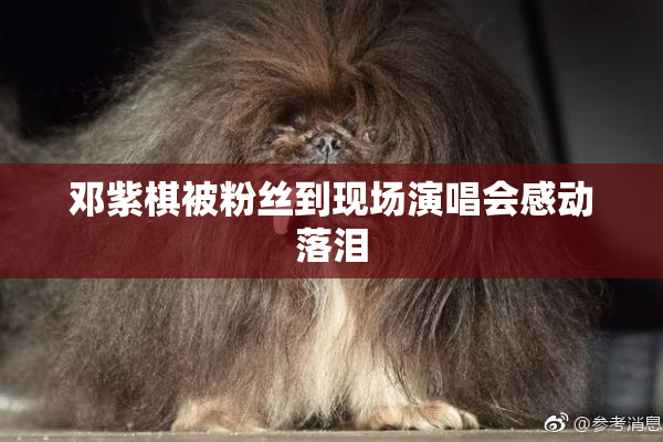 邓紫棋被粉丝到现场演唱会感动落泪
