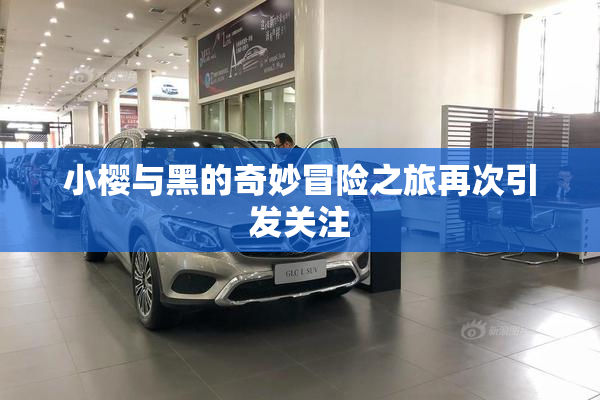 小樱与黑的奇妙冒险之旅再次引发关注