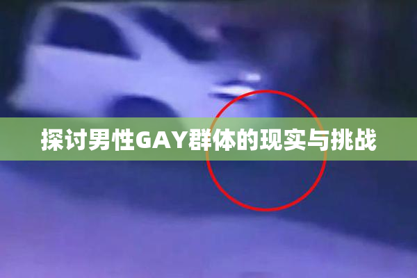 探讨男性GAY群体的现实与挑战