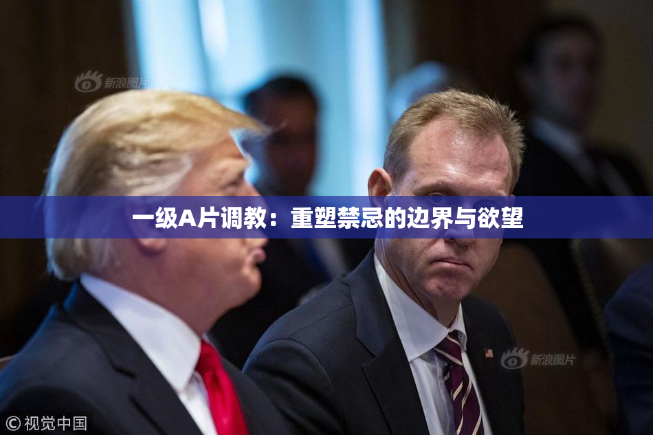 一级A片调教：重塑禁忌的边界与欲望