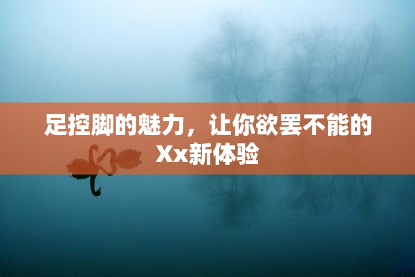 足控脚的魅力，让你欲罢不能的Xx新体验